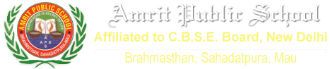 Amrit Public School Mau
